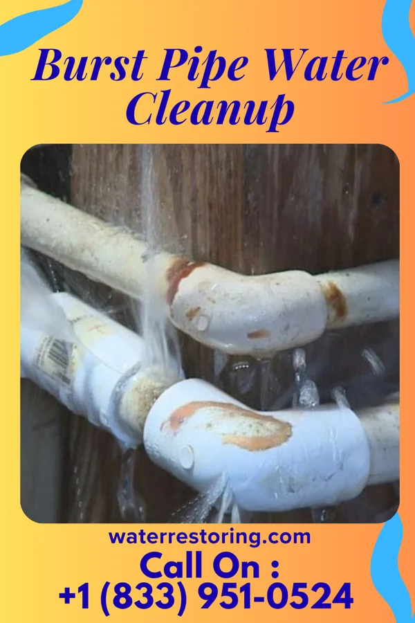 Burst Pipe Water Cleanup in Riverside, WA