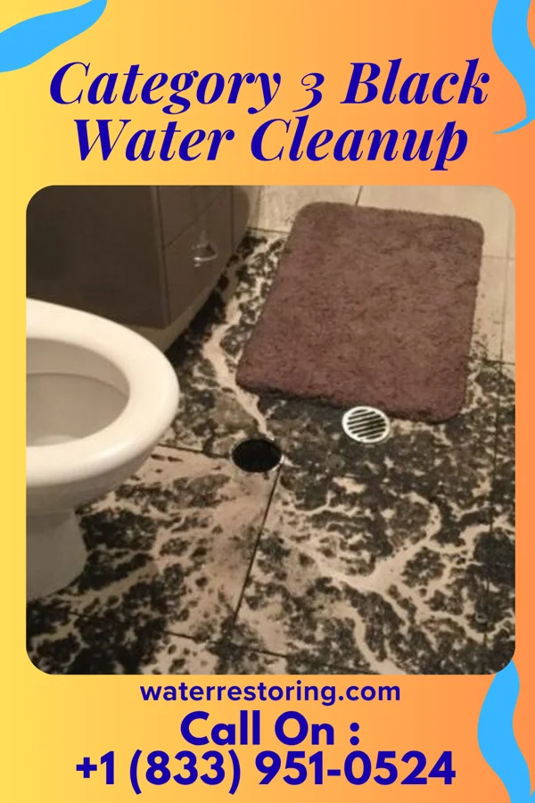 Category 3 Black Water Cleanup in Riverside, WA