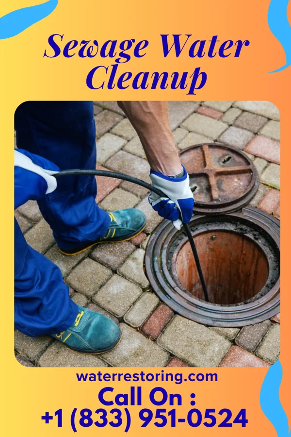 Sewage Water Cleanup in Riverside, WA